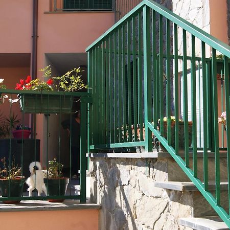 Chez Reny Terrazza Vista Mare Apartment Monterosso al Mare Luaran gambar